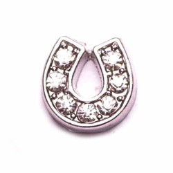 Horse Shoe with Crystals Horse Shoe with Crystals