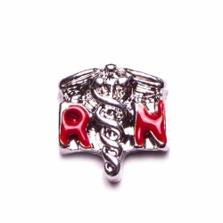 Registered Nurse Registered Nurse