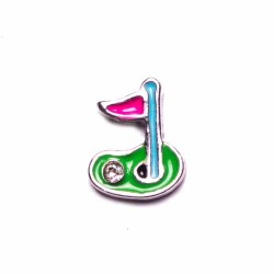 Golf Flag/Hole