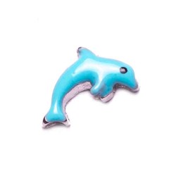 Blue Dolphin Blue Dolphin