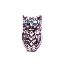 Blue Eyed Owl Blue Eyed Owl