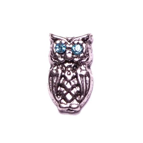 Blue Eyed Owl