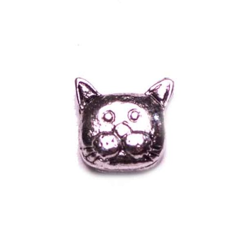 Cat Head