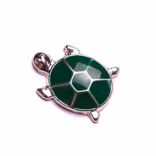 Green Turtle