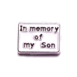 In Memory of my Son In Memory of my Son