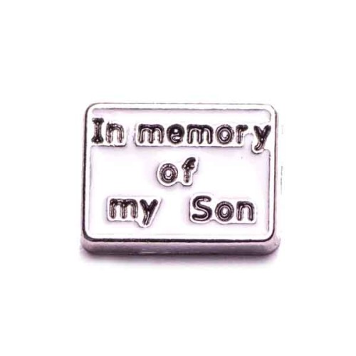 In Memory of my Son  	