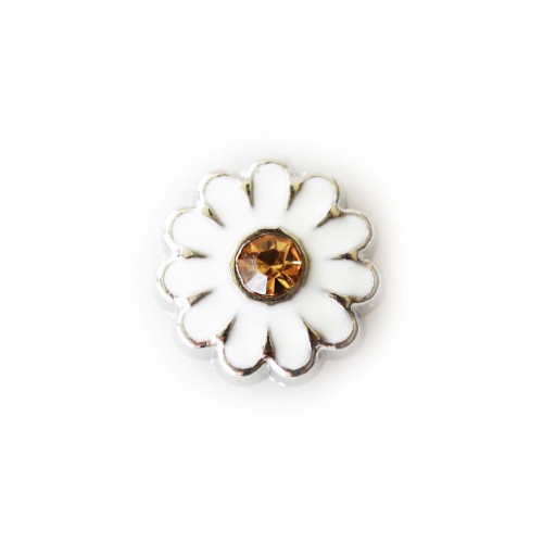 Daisy