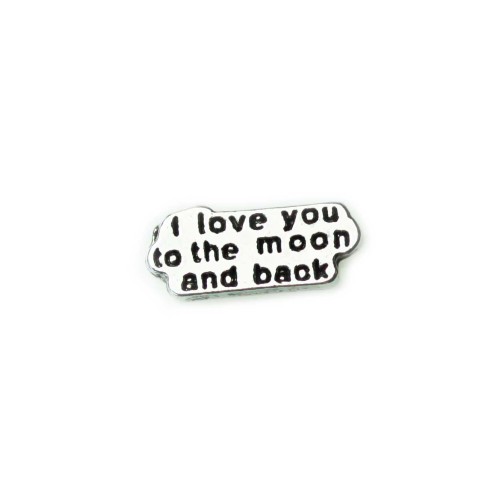 I Love you to the Moon & Back Charm I Love you to the Moon & Back Charm