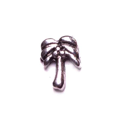 Palm Tree