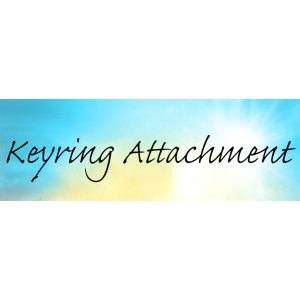 Keyring/ Brooch Attachment