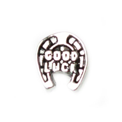 Good Luck Horse Shoe