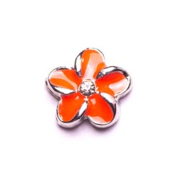 Orange Frangipani Orange Frangipani