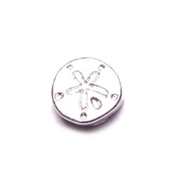 Sand Dollar