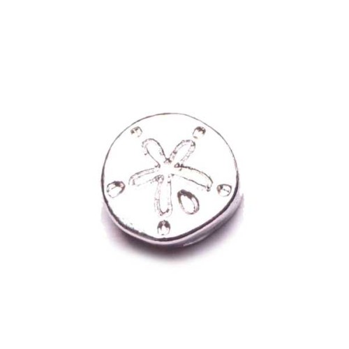 Sand Dollar