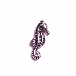 Seahorse