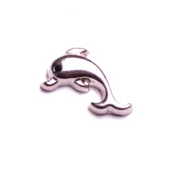 Silver Dolphin