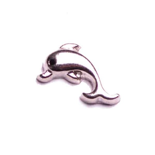 Silver Dolphin