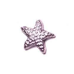 Star Fish
