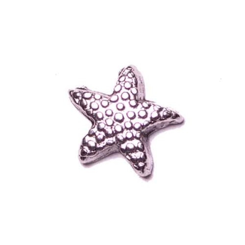 Star Fish Star Fish