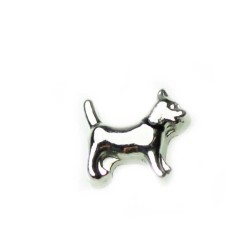 Dog with Black Collar Dog with Black Collar