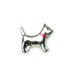 Dog with Pink Collar Dog with Pink Collar