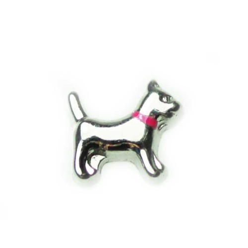 Dog with Pink Collar Dog with Pink Collar
