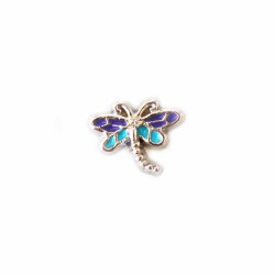 Blue and Purple Dragonfly