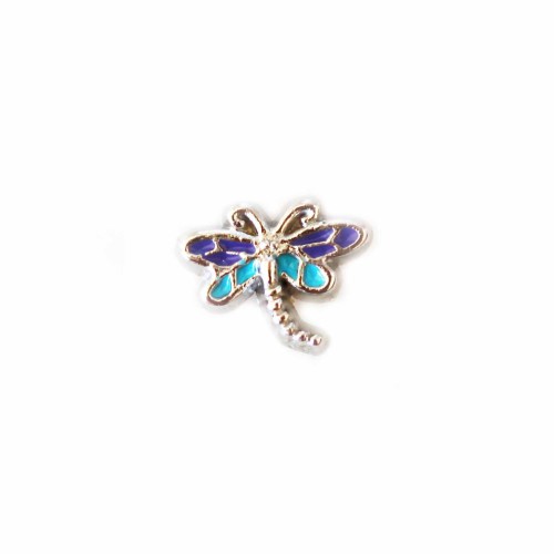 Blue and Purple Dragonfly