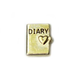 Diary