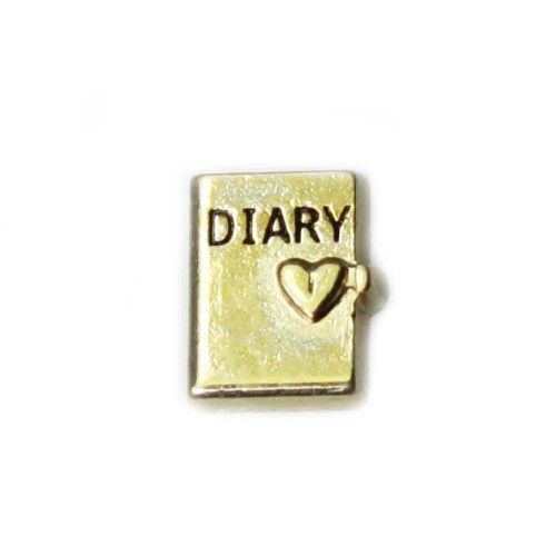 Diary