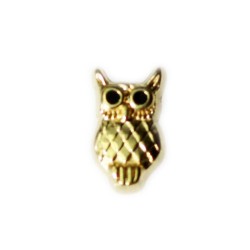 Gold Owl Gold Owl
