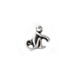 Monkey Monkey