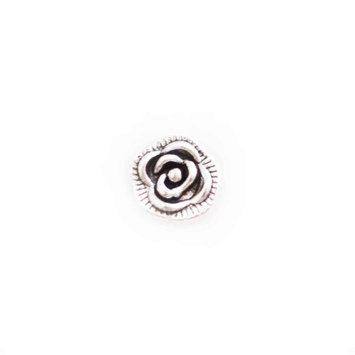 Silver Rose